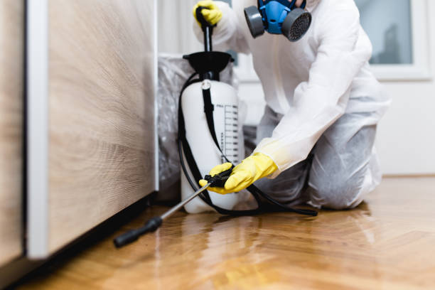 Best Pest Control for Businesses  in Germantown, WI