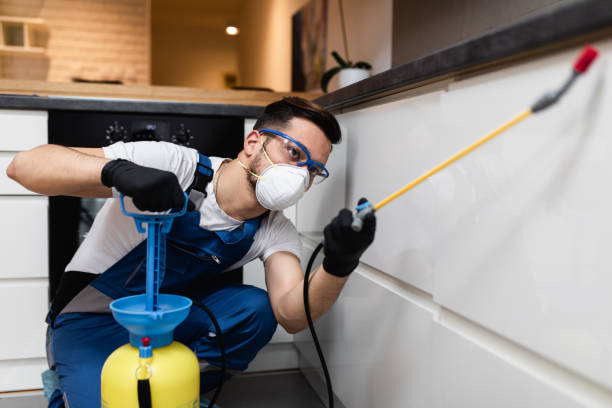 Best Best Pest Control Companies  in Germantown, WI