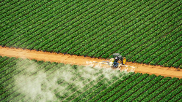 Best Commercial Pest Control Services  in Germantown, WI
