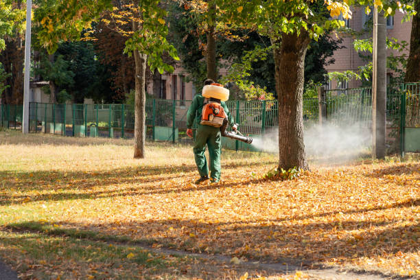 Best Pest Control Treatment  in Germantown, WI