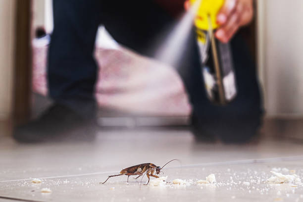 Trusted Germantown, WI Pest Control Experts