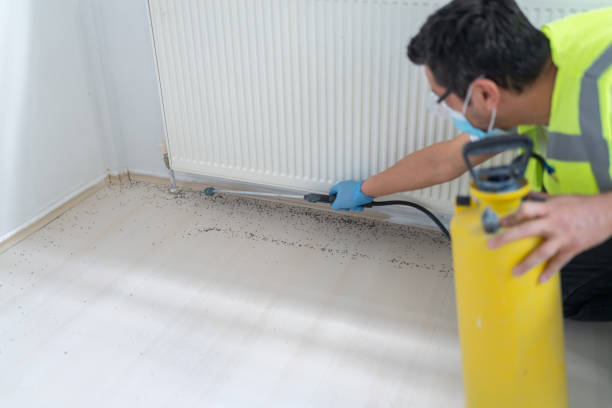 Best Ant Control Services  in Germantown, WI